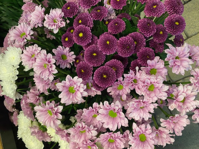 Bilder Fleur Evasion Sàrl