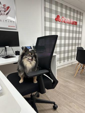 Images Laura San Nicolas - State Farm Insurance Agent