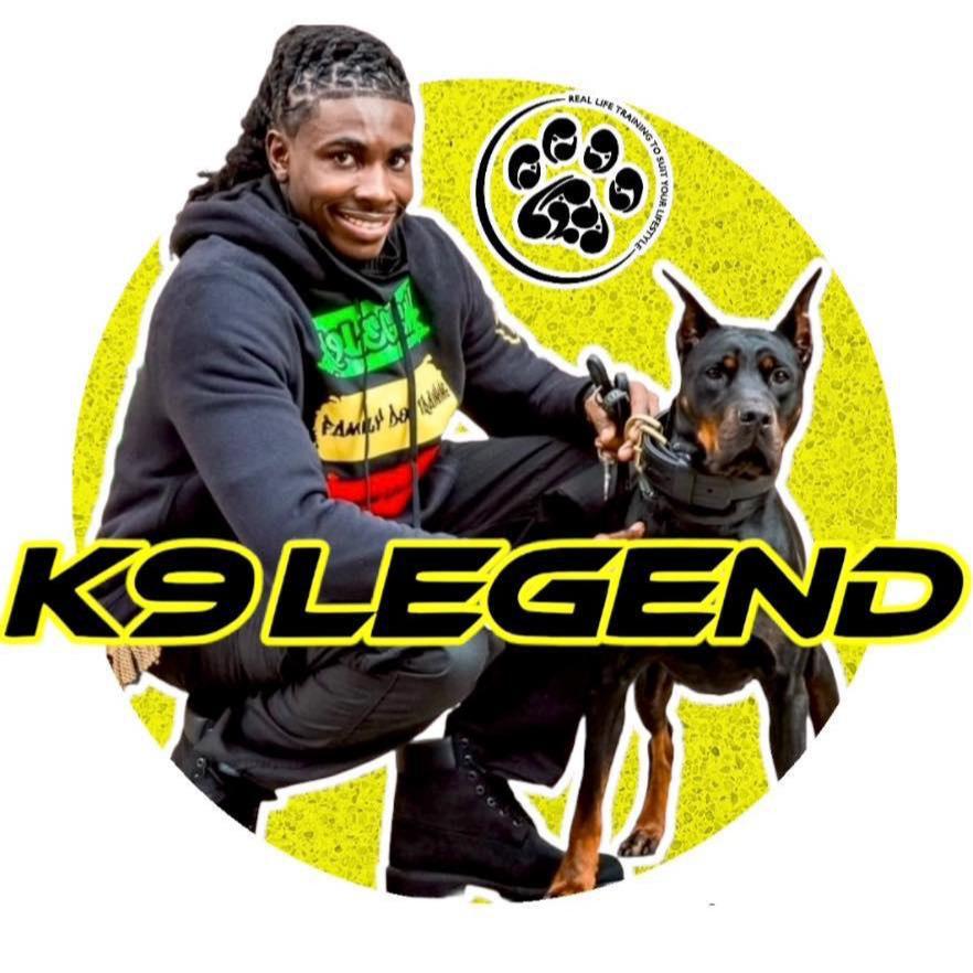K9 Legend Family Dog Training & Aggression Rehabilitation - Salisbury, MD 21801 - (443)292-2054 | ShowMeLocal.com