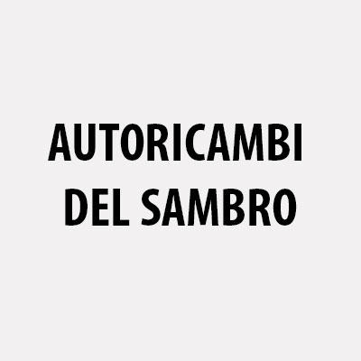 Autoricambi del Sambro Logo
