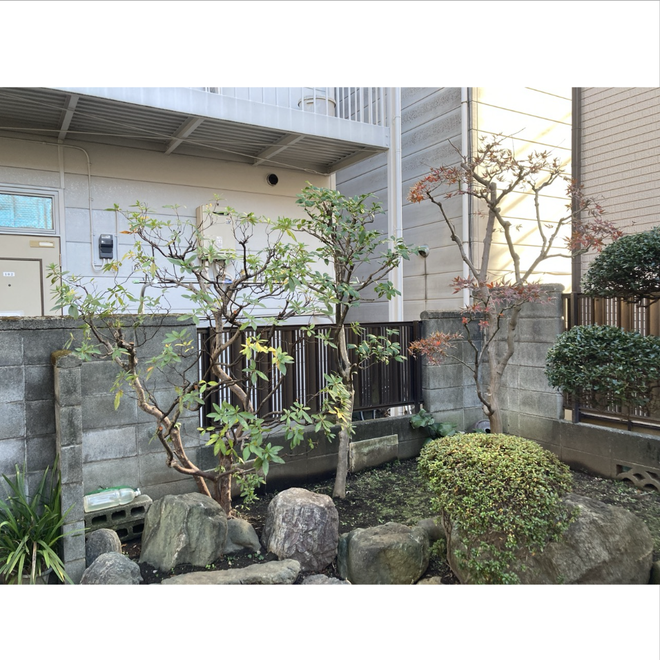 Images 川崎・横浜・東京で庭木の剪定/伐採/雑草対策【ボタニ家】