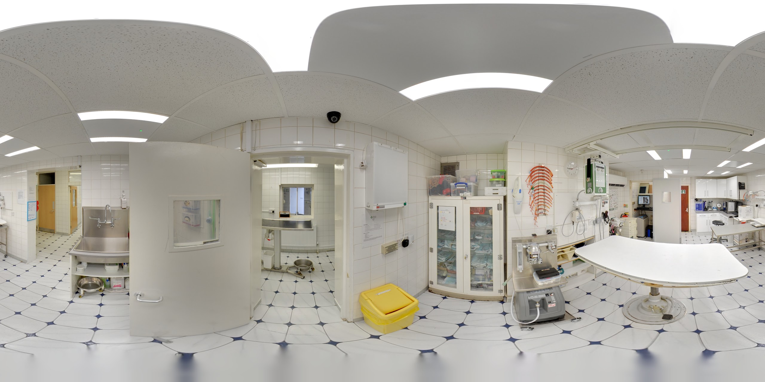 Images Streatham Hill Veterinary Surgery