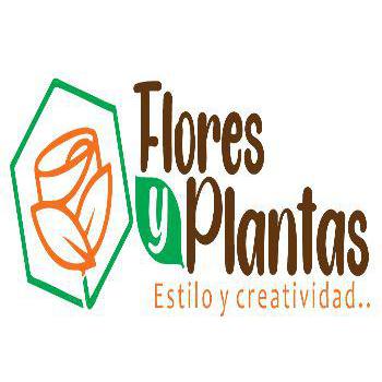 Flores & Plantas - Florist - Callao - 912 510 938 Peru | ShowMeLocal.com