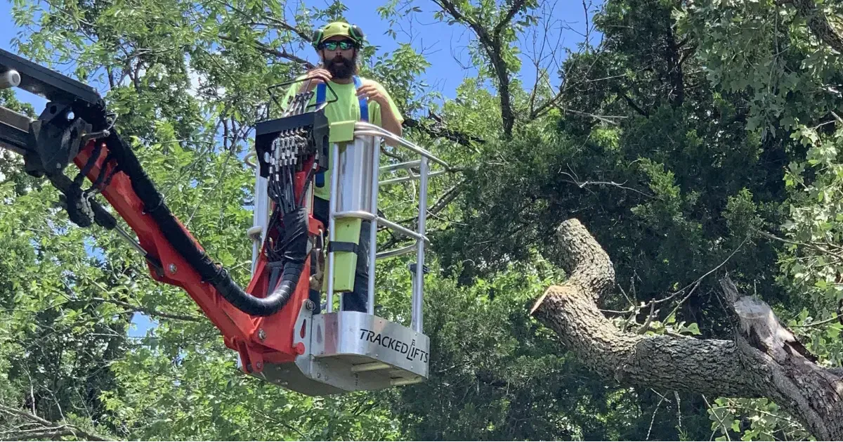 Arborist in Edmond, OK