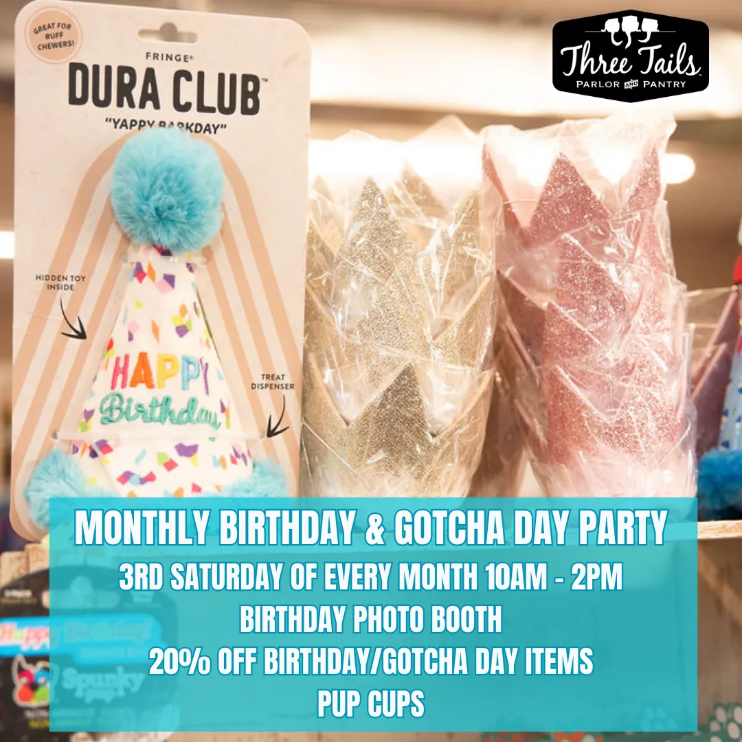 Image of Local Pet Event January Birthday & Gotcha Day Party Nearby