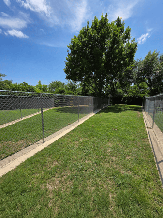 Images VCA Central Expressway Animal Hospital