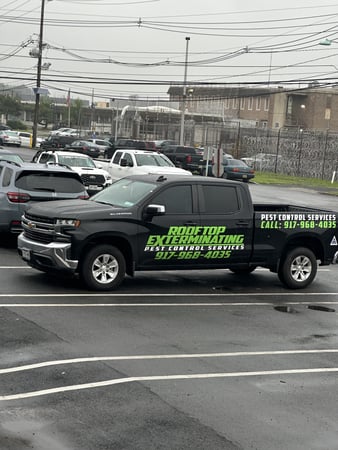 Images Rooftop Exterminating