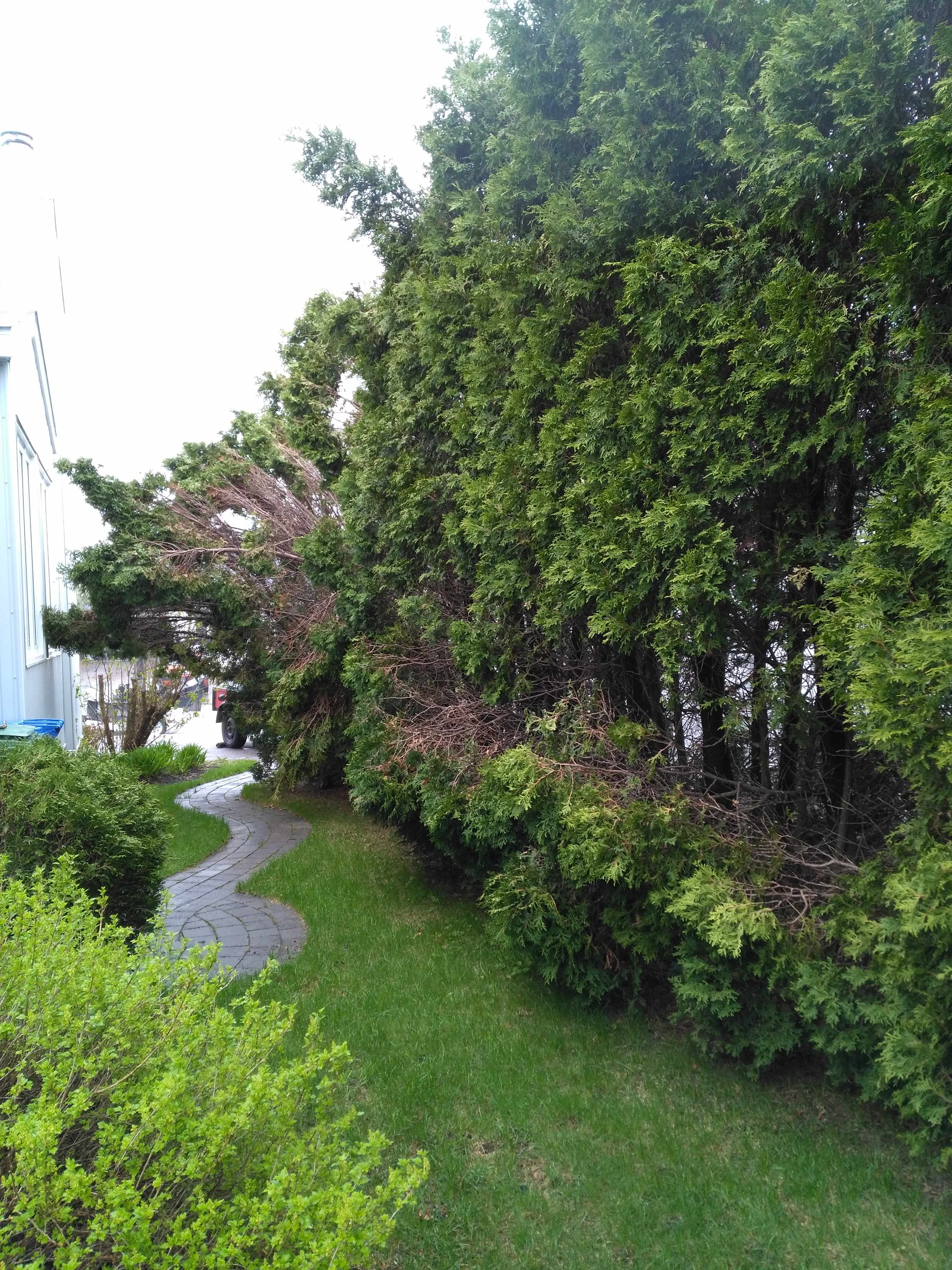 Images les Arboriculteurs du lac