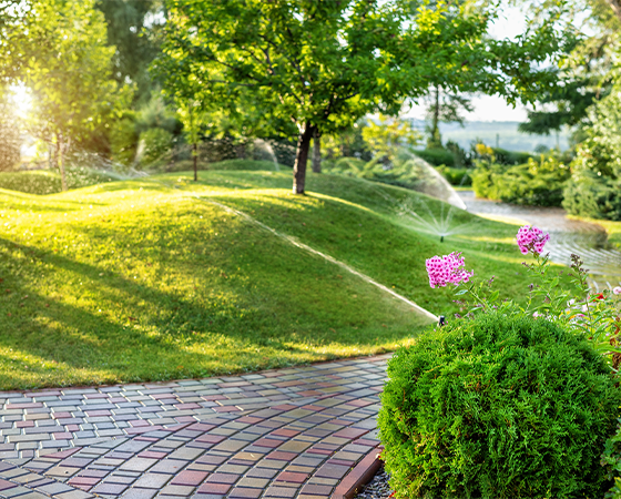 Images Incline Landscaping & Lawn Maintenance