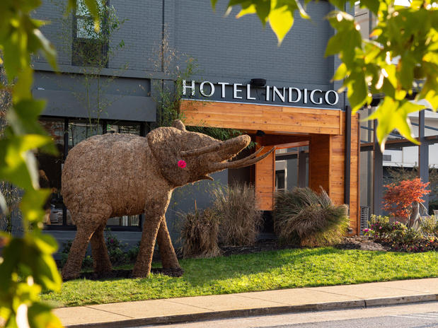 Images Hotel Indigo Chattanooga - Downtown, an IHG Hotel