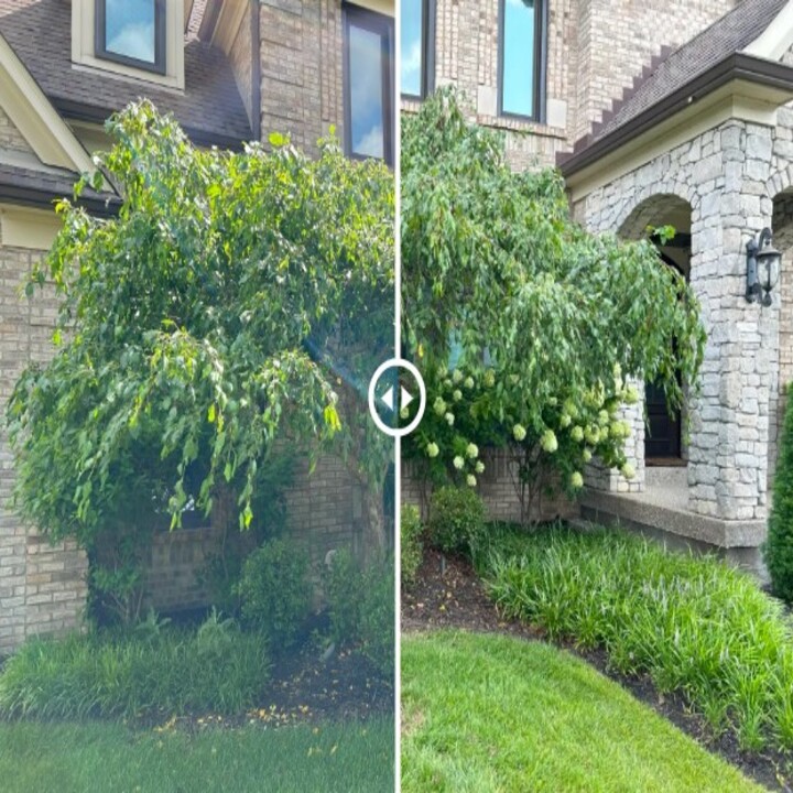 Images Patrick Johnson Landscaping, LLC