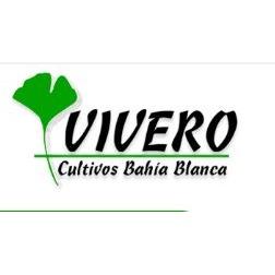 Especialista en periodoncia bahia blanca