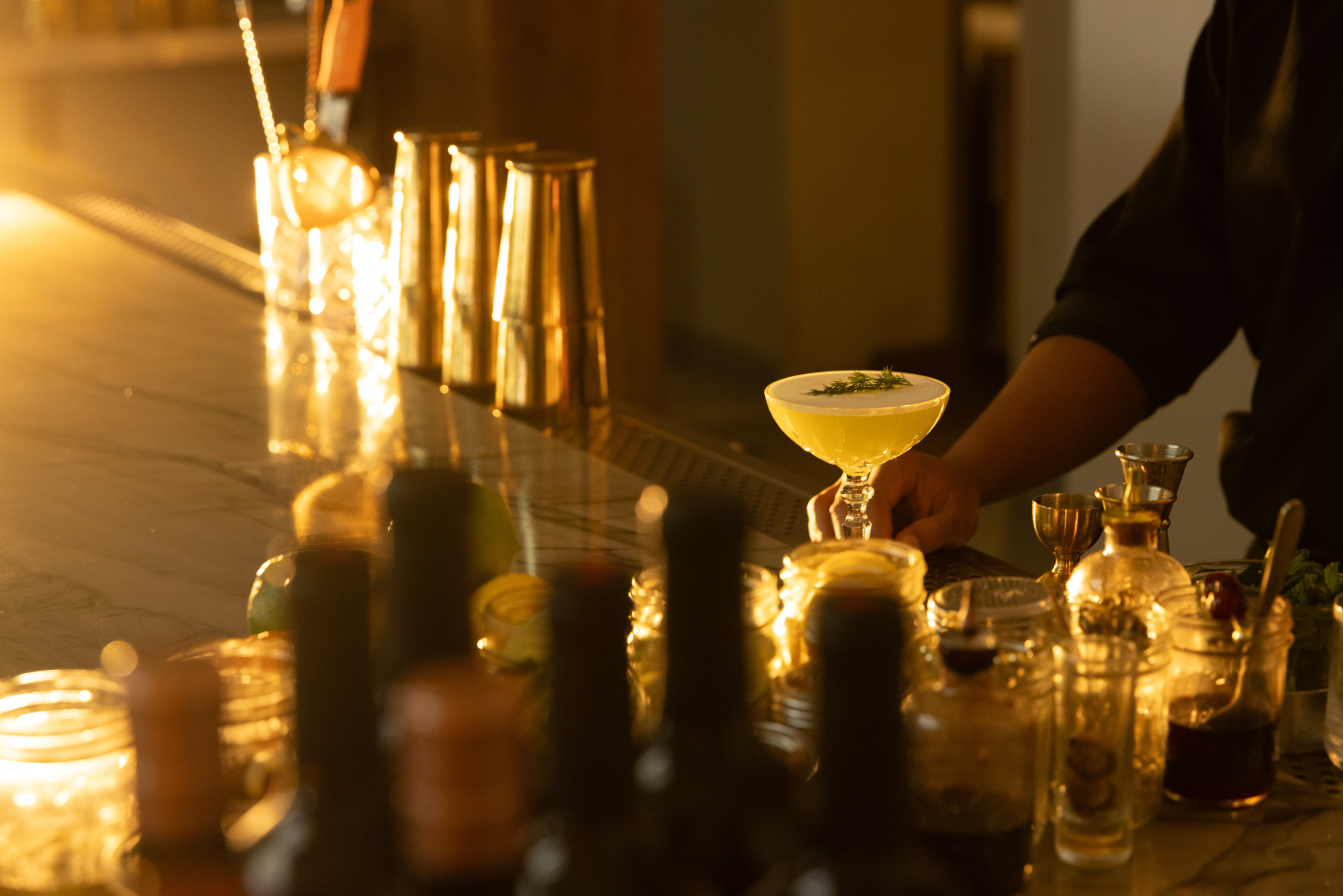 Curated Cocktails