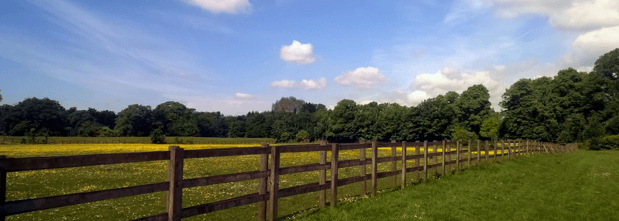 Images Newell Funeral Home