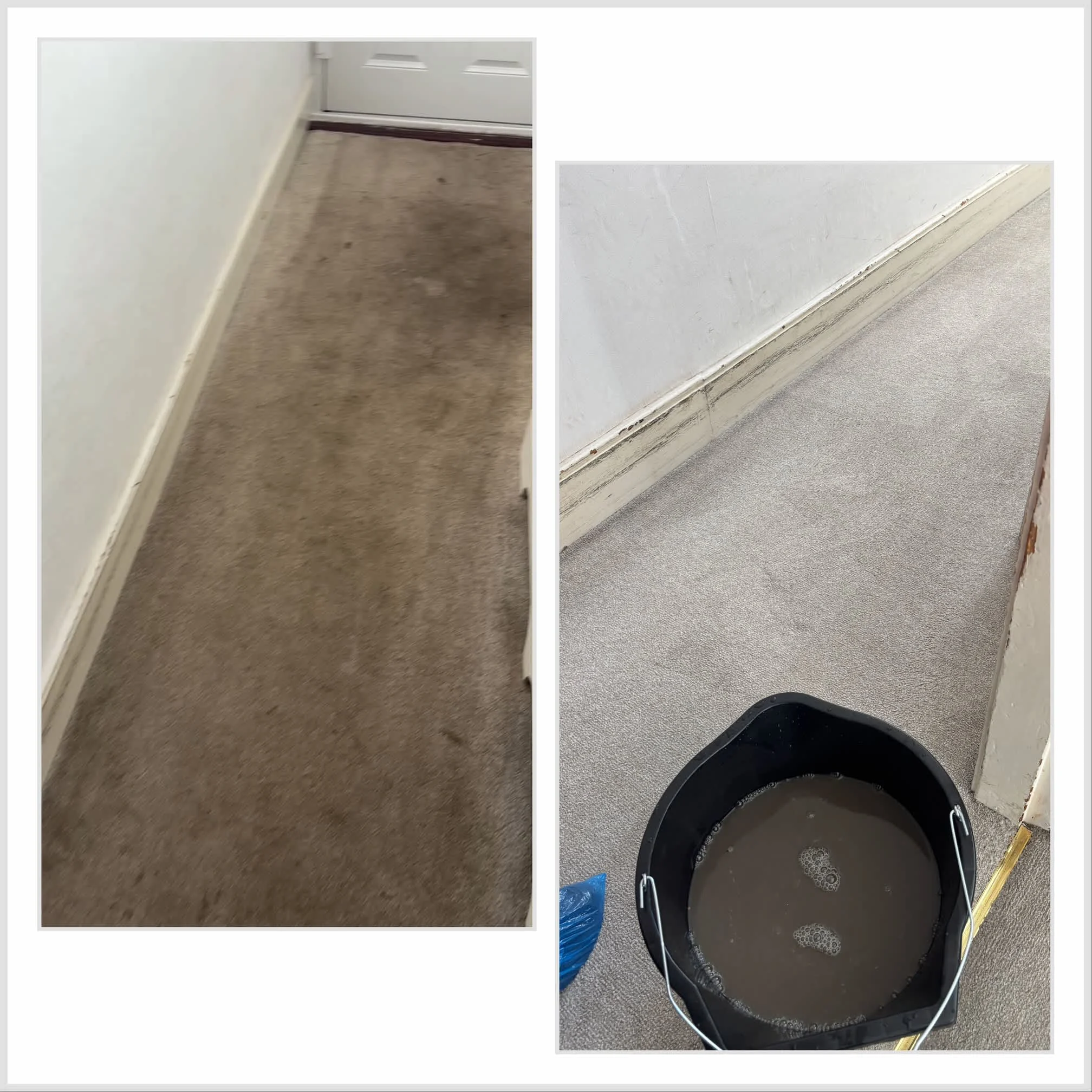 Images Carpet Care NE