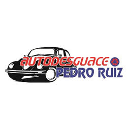 Autodesguace Pedro Ruiz Logo