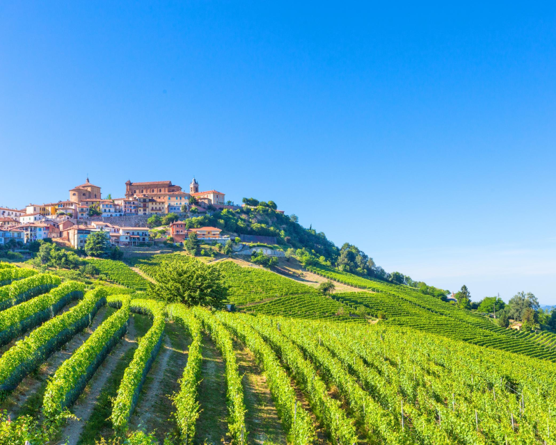 Images Panto'S Viaggi