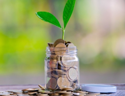 Damp Protection Ireland and UK 3