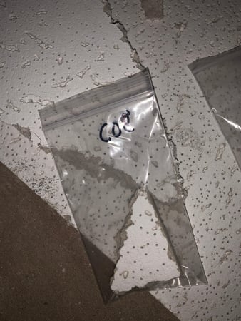 Images Rex Environmental