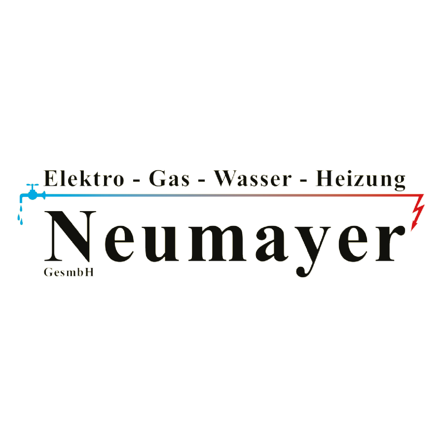 Neumayer GesmbH Logo