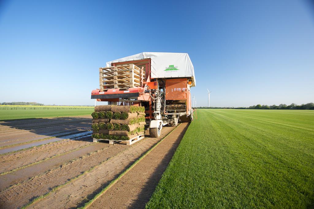 RASENLAND Pattensen Freiherr Knigge GmbH, Lüderser Weg 35 in Pattensen