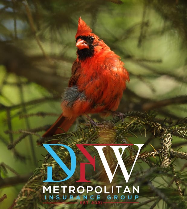 Images DFW Metropolitan Insurance Group: Allstate Insurance