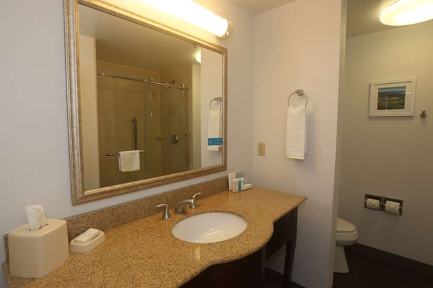 Images Hampton Inn Owego