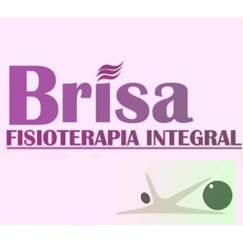 Brisa Fisioterapia Integral Logo