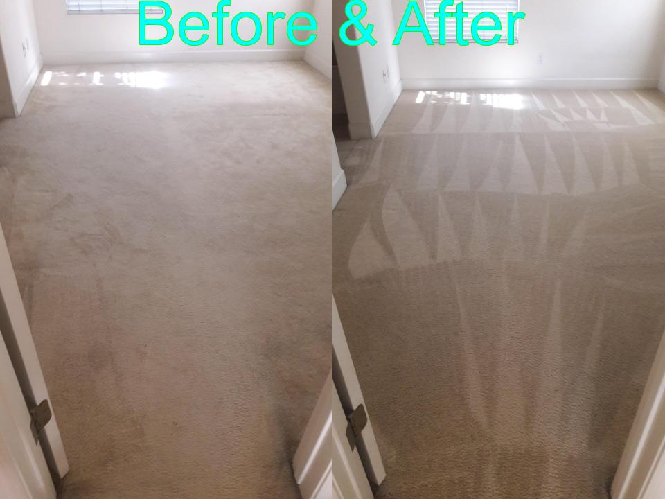 Able Body Carpet & Restoration Photo