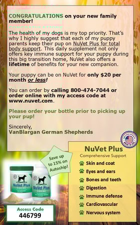 Images VanBlargan German Shepherds