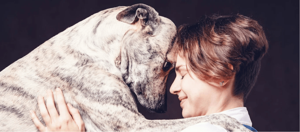 Images Resting Rainbow Pet Cremation of North Atlanta