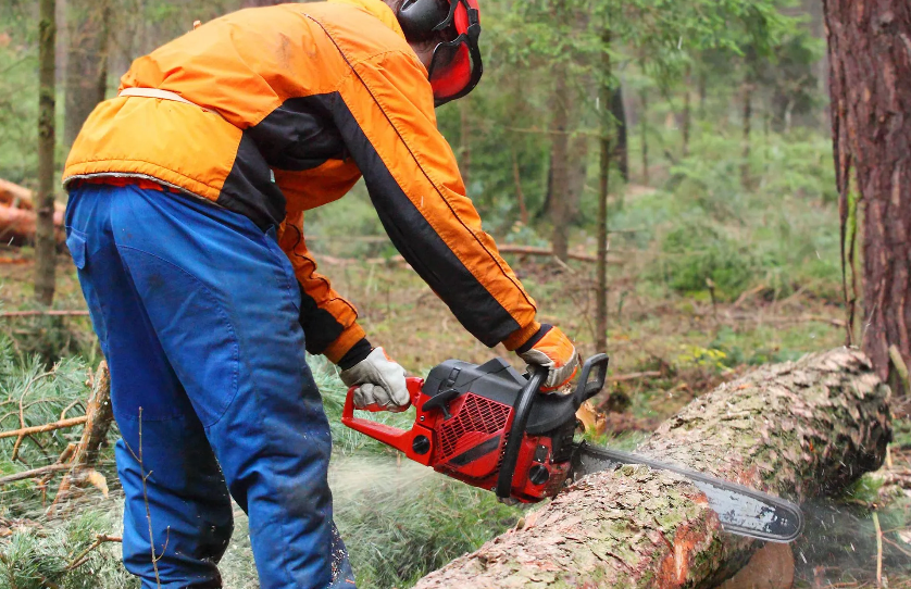 BB Tree & Landscape Company Image