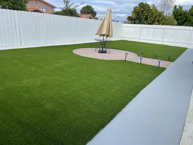 Images Best Green Grass