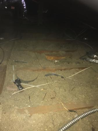 Images Rodent Solution