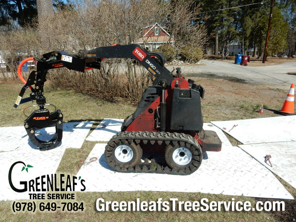 Greenleaf's Tree Service Photo