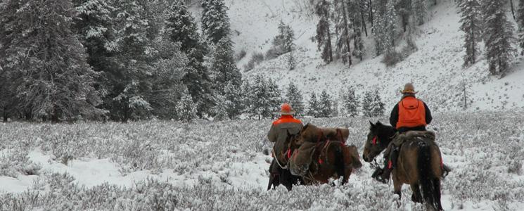Image 6 | Samuelson Outfitters