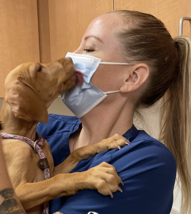 Images VCA Laguna Niguel Animal Hospital