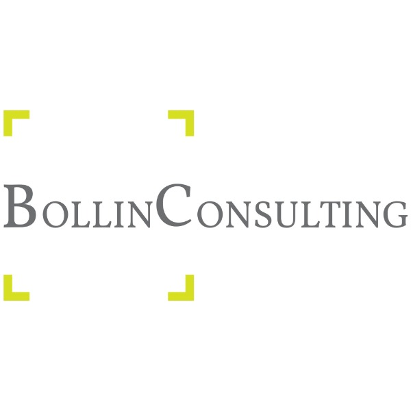 Logo Bollin Consulting: Unternehmensberater aus Schwäbisch Gmünd