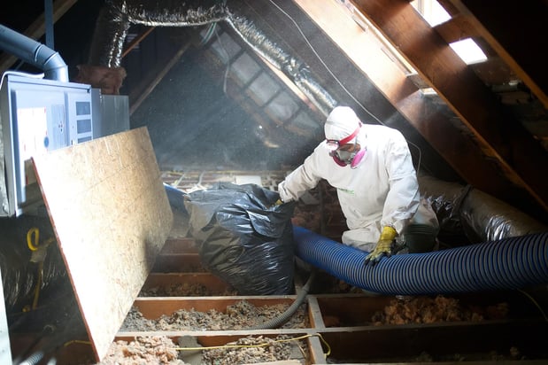 Images Green Rodent Restoration