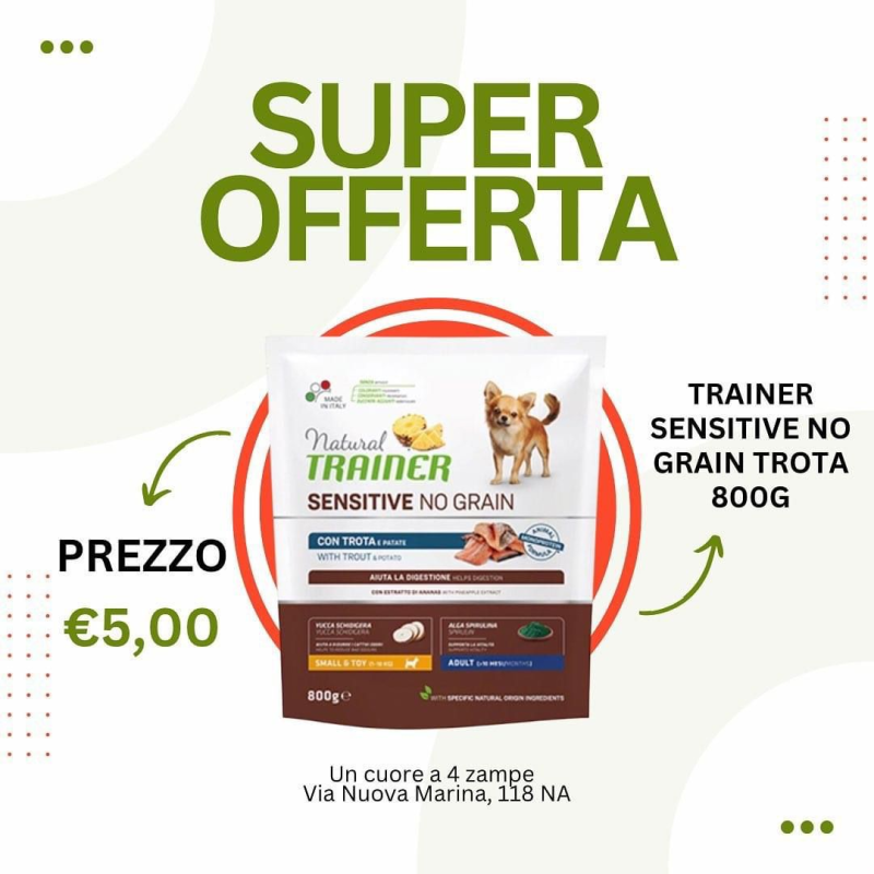 Images Un Cuore a 4 zampe