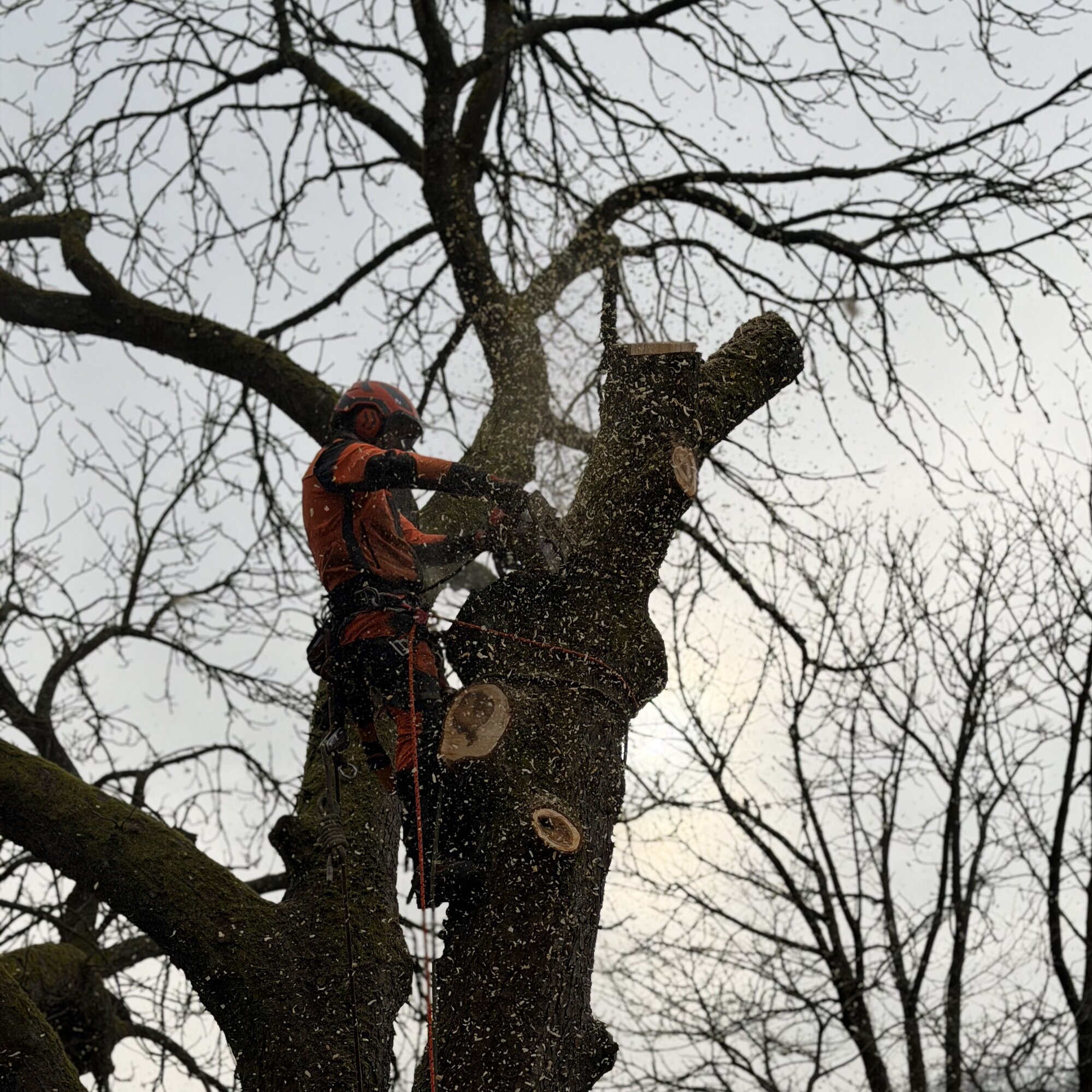 Baumdienst Behan, Im Winkel 22 in Schalksmühle