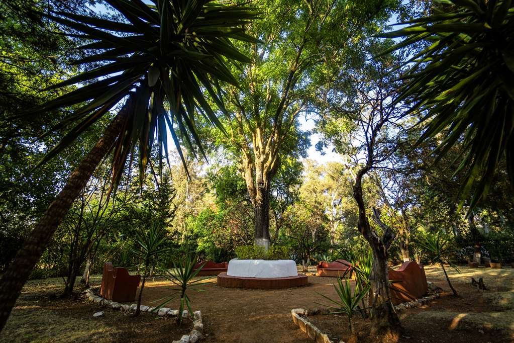 Images Best Western Plus Posada de Don Vasco