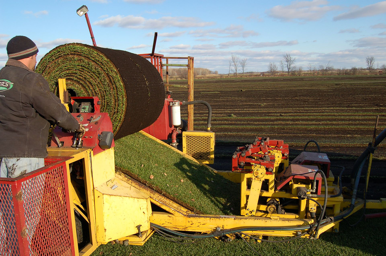 Planning a fall renovation? Late summer and fall are the best times to install sod! Contact GreenTurf Sod Farms today to schedule your delivery before the season ends.