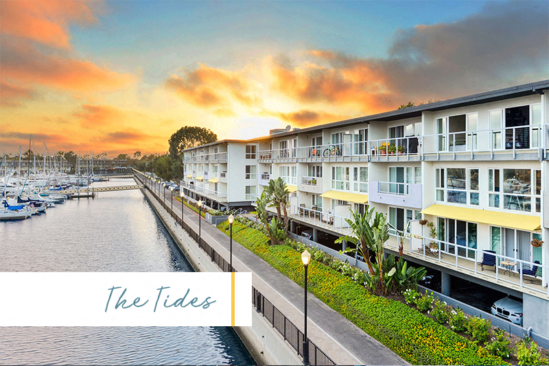 The Tides