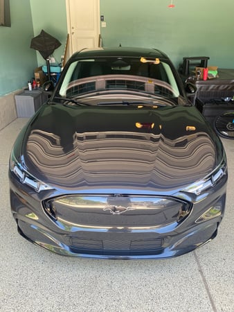 Images Evolution Customs