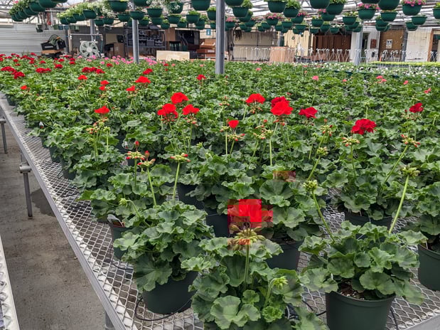 Images Grant Line Garden Center & Nursery