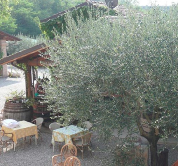 Images Agriturismo Val del Tasso
