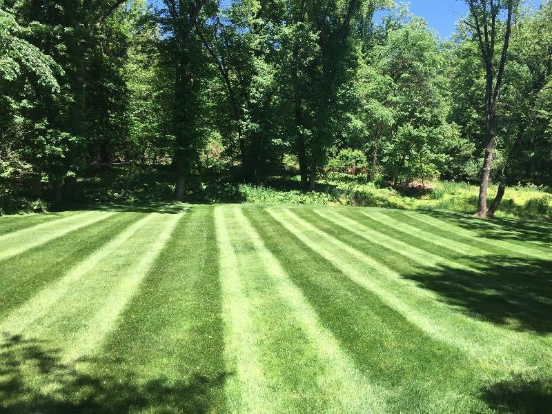 Images Leading Edge Landscape And Design
