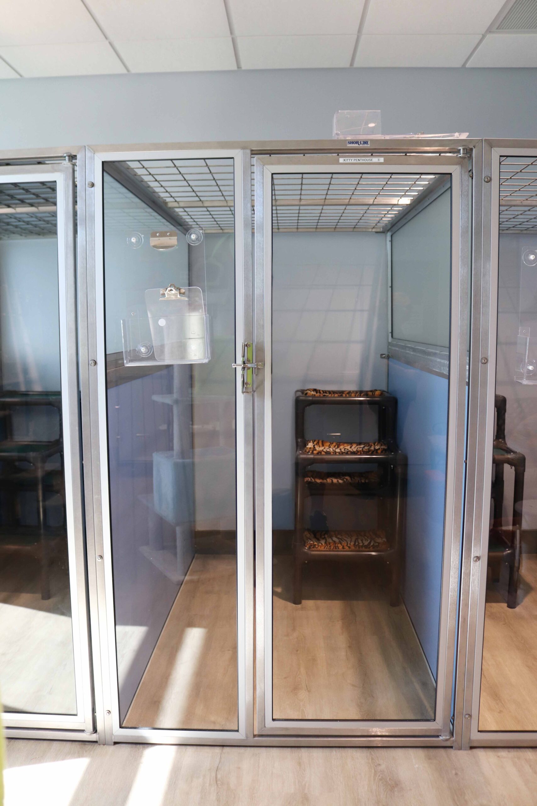 Bayside Pet Resort Image