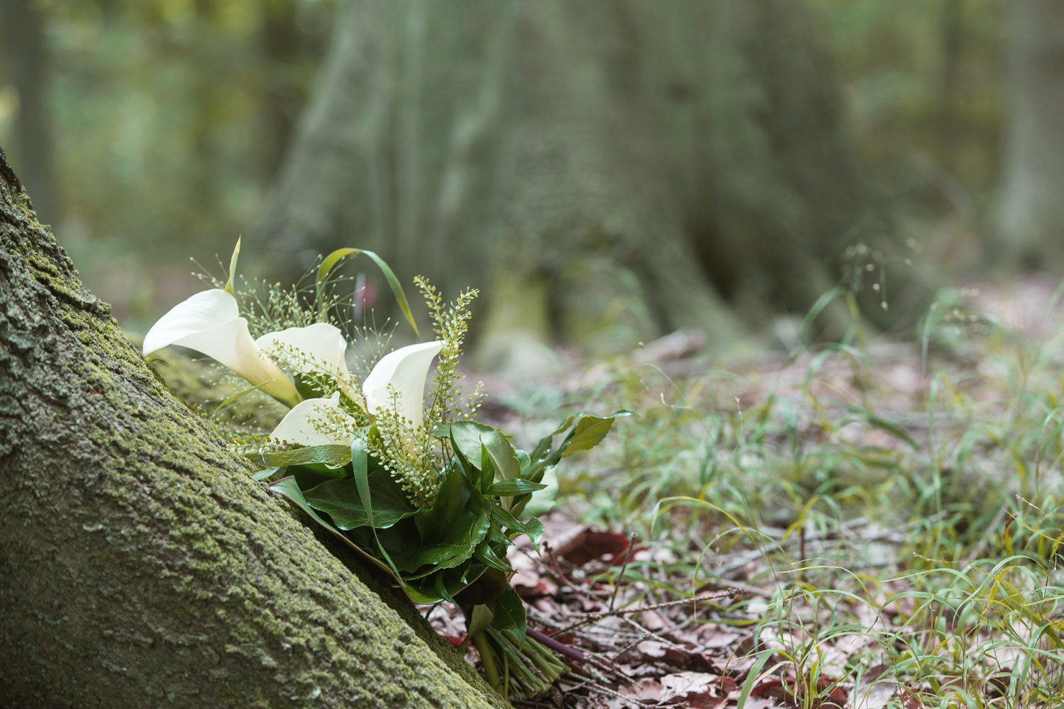Bestattungen Stratmann GmbH & Co. KG, Hackfurthstraße 5 in Bottrop